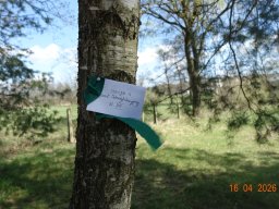 Dzień Pamięci Ofiar Zbrodni Katyńskiej