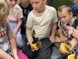 Wycieczka na wystawę żywych motyli oraz na salę zabaw "Lililand" 